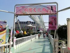 -百万葵园