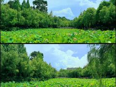 -月牙潭公园