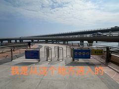 -演武大桥观景平台