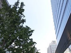 -北京SKP