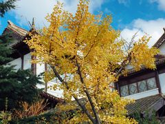 -威海华夏城景区