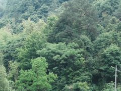 -秀沿路(地铁站)