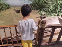 -中国湿地博物馆