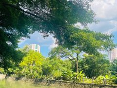 -晓港公园