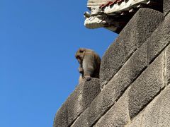 -白帝城·瞿塘峡景区