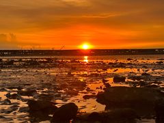 -宝安西湾红树林湿地公园