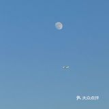 有一种传说，“年”是汉族民间传说的凶兽，头长尖角