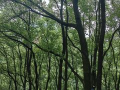 -巴倒烫陆派火锅山庄(南山总店)