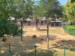 -石家庄市动物园