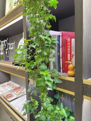 -御珠宫坊(壹海城ONEMALL店)