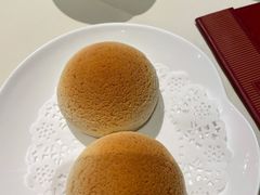 雪顶雄峰-利苑酒家(金宝店)