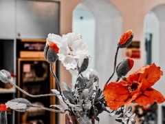 -香香海南菜餐厅