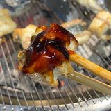 烤鳗鱼，烤肉🐟🥩