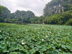 -星湖旅游景区七星岩
