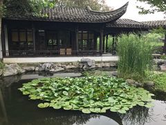 -日出青木·杭帮菜名店