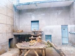 -西安秦岭野生动物园