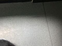 -半岛宠物医院24小时(科华中路店)