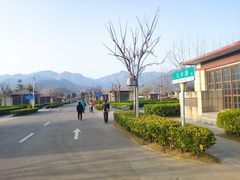 -崂山风景区-大河东游客中心