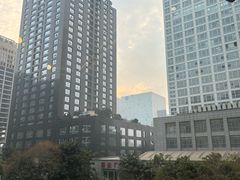 -东哥紫阳蒸盆子(旺座·现代城店)