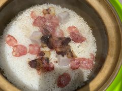 -春润大地海南椰子鸡(沙井京基百纳广场店)