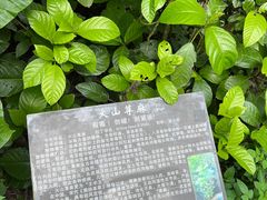 -海口火山口国家地质公园