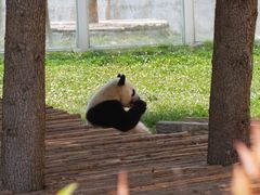 -西安秦岭野生动物园