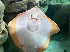 -珠海长隆海洋王国