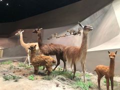-长江文明馆