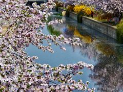 -海棠花溪(元大都城垣遗址公园)