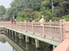 -桃花岭景区