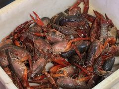 -二钳洞庭虾蟹·江湖菜(成都鹭岛店)