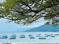 -抚仙湖禄充风景区