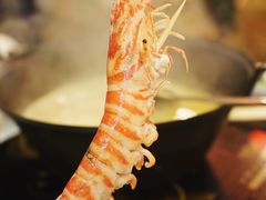 -鲜入围煮花胶鸡海鲜火锅