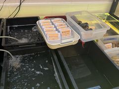 -禧福楼·十五年老店(科技城店)