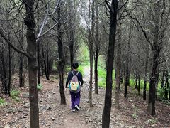 -阳台山自然风景区