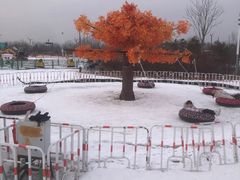 -绿野森林乐园冰雪季