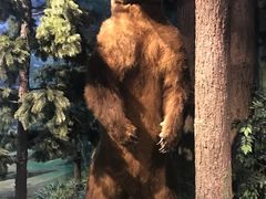 -陕西自然博物馆