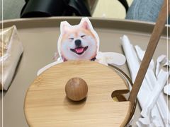 -逗柴咖啡屋·狗咖猫咖宠物桌游