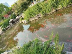 -西海子公园