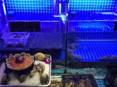 水产区-捞围鲜·港式打边炉(海阳路店)