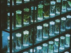 -广东中医药博物馆