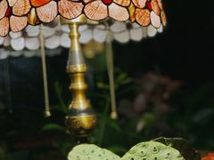 -Golden Lily河内巴黎法越料理餐厅(建国西路店)