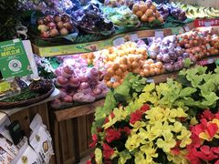 -百果园PAGODA(中铭豪园店)