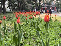 -浙江大学(玉泉校区)