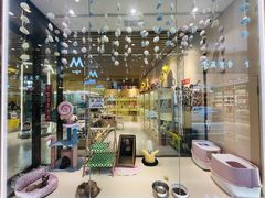 -momokira米努特·德文卷毛猫·棉花面纱犬