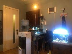 -椿树下·Tattoo纹身工作室