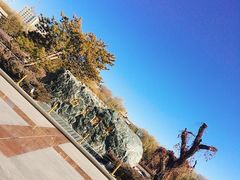 -张掖大佛寺景区