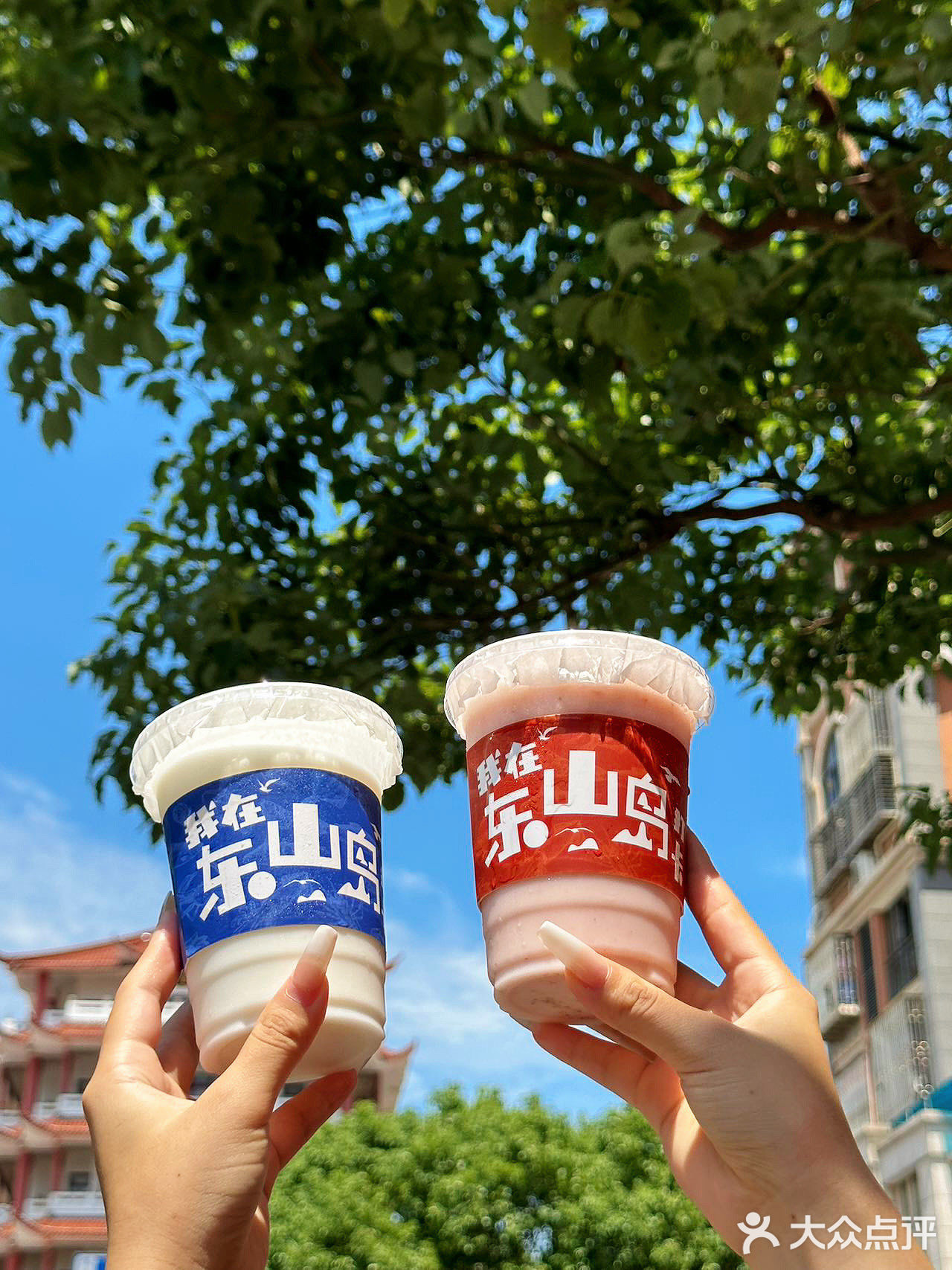 东山岛招牌果汁就冲这家🍹