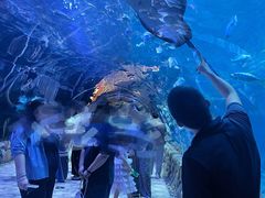 -华夏文旅海洋公园