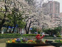 -玛格萝妮比萨屋(四平店)
